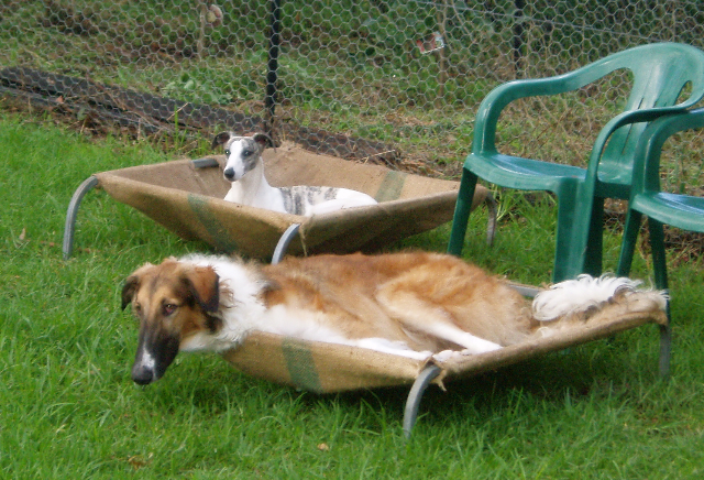 bundoon